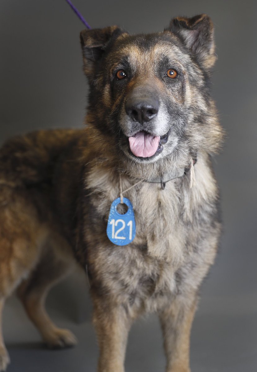 Karen Warren tweet media