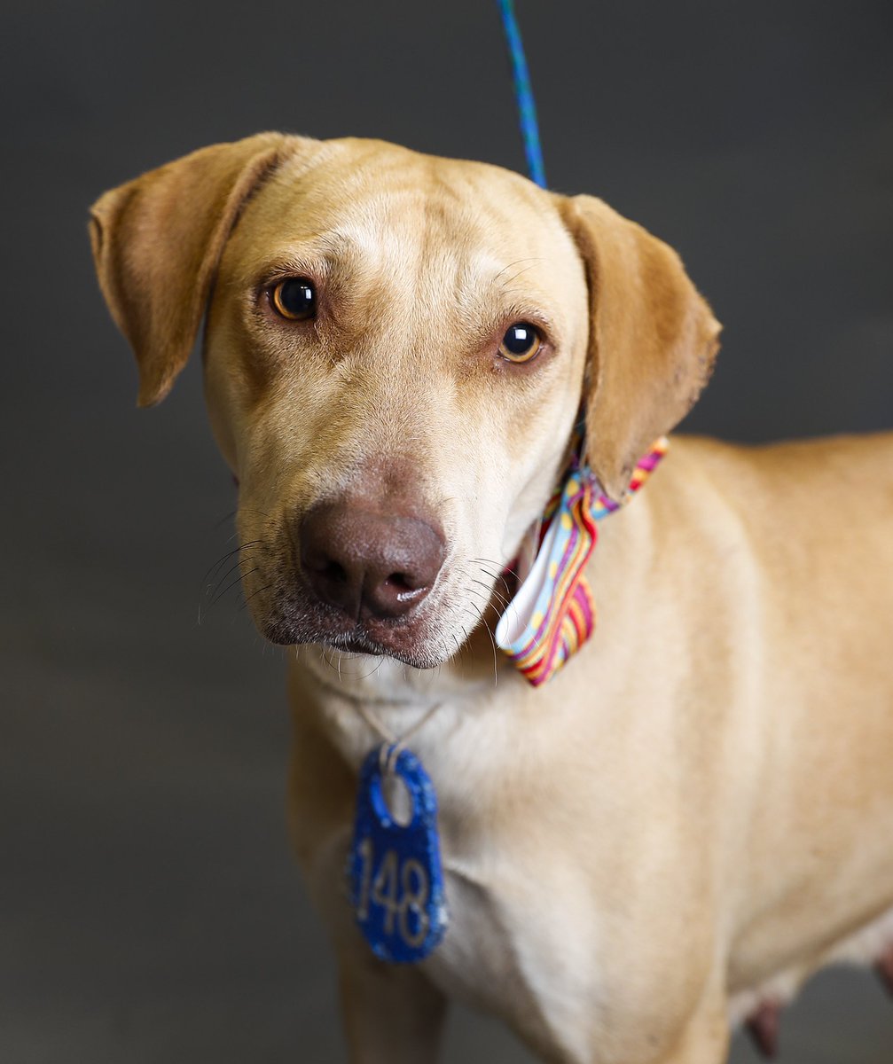 Karen Warren tweet media