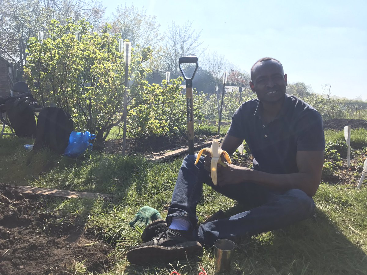 123_M_K's tweet photo. A day in the life of @ACHintegrates - an afternoon working on the allotments with tenants! Exchanging knowledge and techniques from Iran, UK, Spain &amp; Sudan, with over 400 years experience combined! #Wellbeing #rethinkingrefugee https://t.co/hjzlRytDJQ