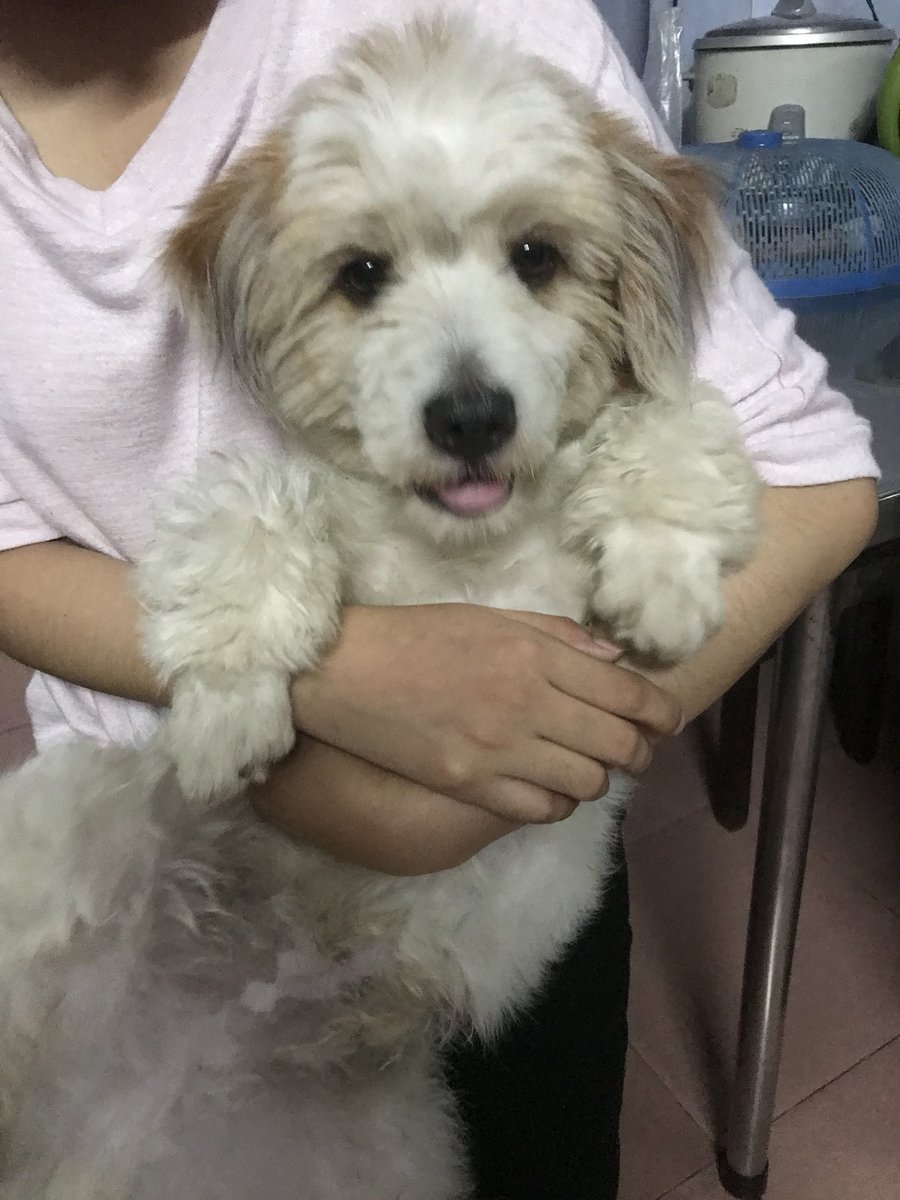 imjanely2404's tweet photo. Babe~~~~  #NationalPetDay @lybichngoc2 https://t.co/Um8r3sd1xM