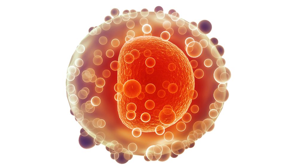 coopersurgical's tweet image. Low oxygen in womb may harm #fertility of future daughters. Research carried out on rats suggests exposing female fetuses to chronic hypoxia during development can lead to advanced ageing of the #ovaries and a reduced #eggcount bit.ly/2CYwN2V via @BioNews