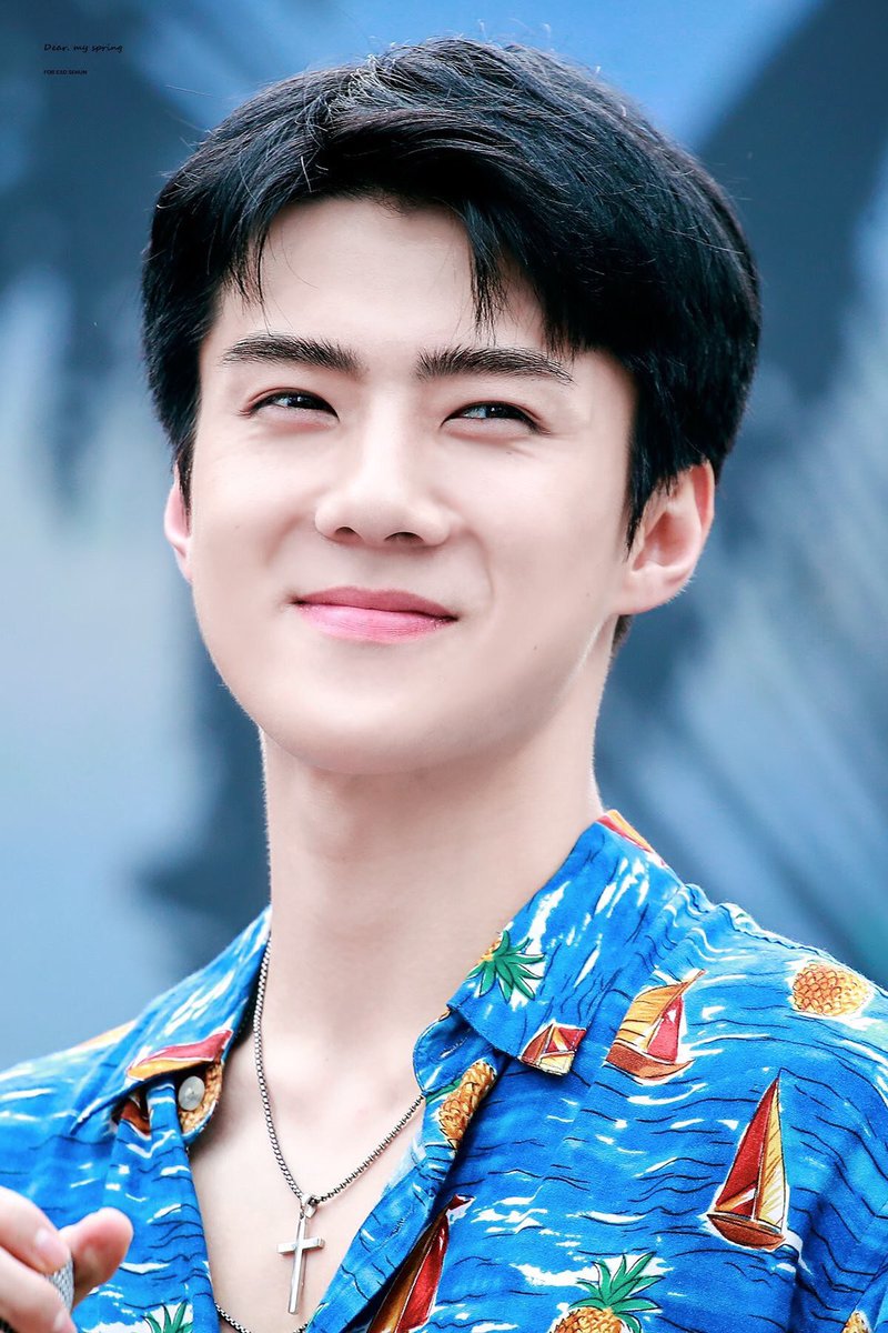 EXOfanbase_Int's tweet photo. HPBD to our handsome maknae Sehun 🎊🎉🎈🎁🎂

EXO-L wish you to always fill with happiness and always be healthy. Thanks for all your hard work &amp; for being a part of EXO. Hope you will continue to be successful in everything you do💖

#ShiningSehunDay
#HappySehunDay

@weareoneEXO https://t.co/JMxddlCitN