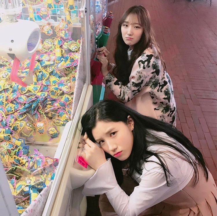 timetominkyeong's tweet photo. 170412 인스타그램 #프리스틴 #로아 https://t.co/FzLAsXtrqg