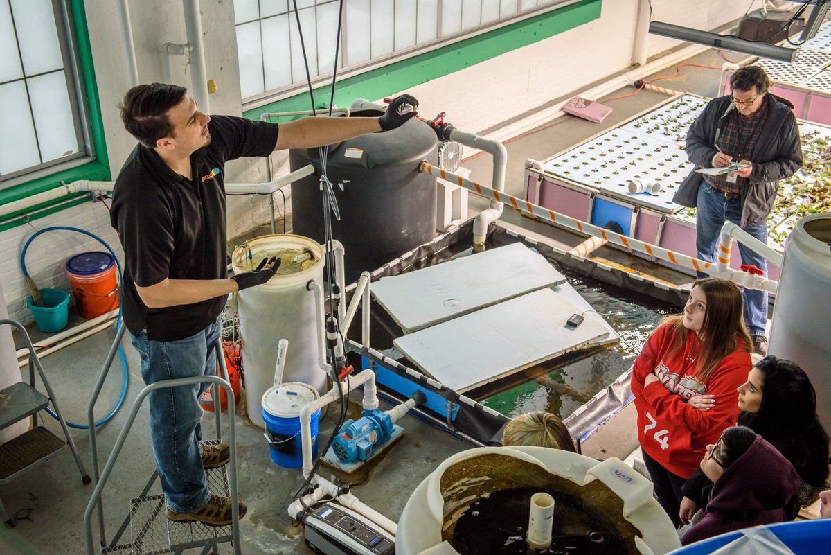 TrifectaEco's tweet photo. We're so excited to announce that we're now offering field trips at our indoor #farm in #MeridenCT! Each #fieldtrip comes with a freshly prepared salad #lunch for each attendee, along with a hands-on learning experience! Contact eric@trifectaecosystems.com for more details! https://t.co/UfvElioSwV