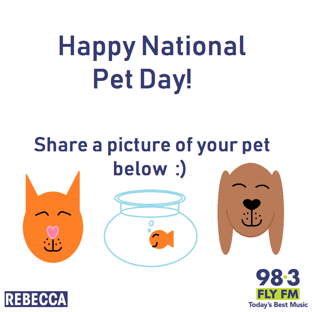 CFLYFM983's tweet photo. Rebecca: Happy #NationalPetDay 2019! 

@ me with a pic of your pet for a RT! 

#ygk 
#Furbabies #Scalebabies #hairybabies https://t.co/3EtOtQ5BZT