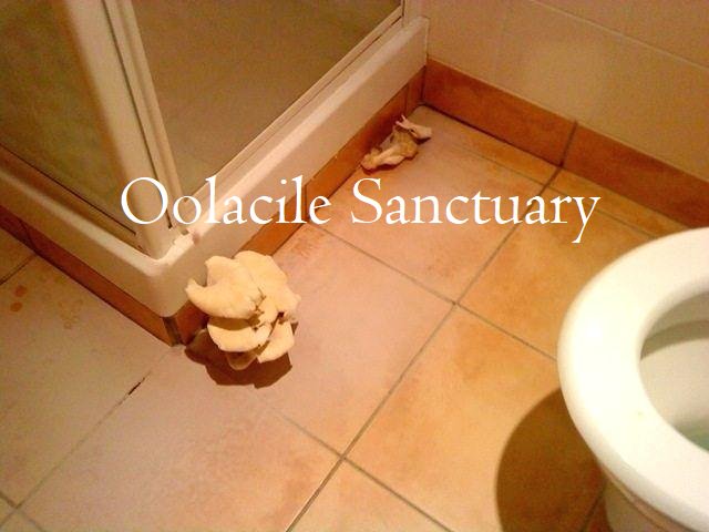 D34Zc_tWAAEf7xT?format=jpg&name=small