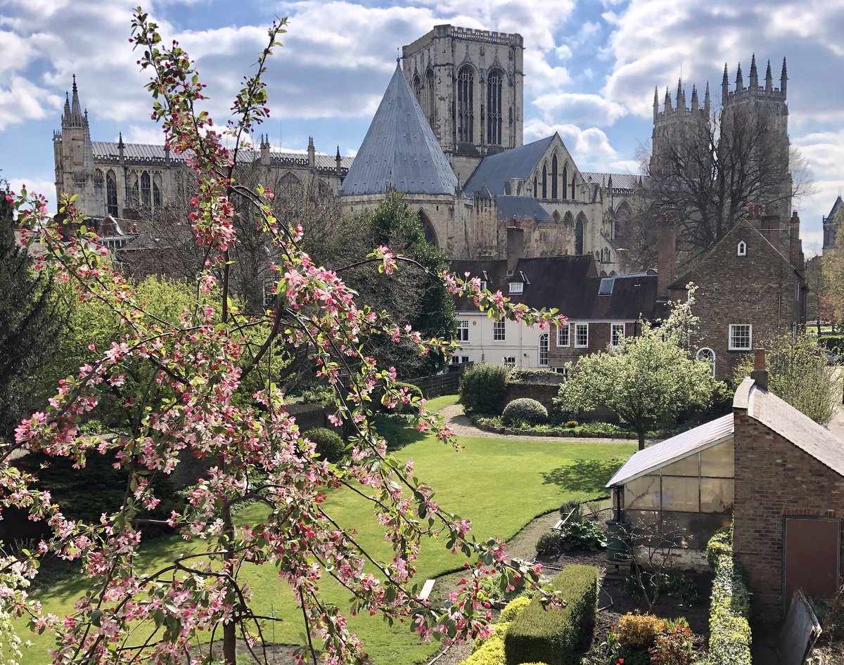 YorkLife1's tweet photo. A lovely afternoon in York, lunch followed by a walk on a favourite section of the walls @yorkwalls @VisitYork @York_Minster #daffodils #sun #York #citywalls #walk #yorkminster #views https://t.co/EfC2qP2jva