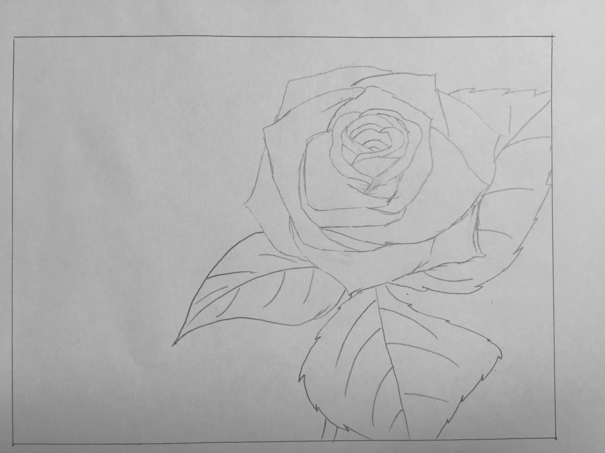 しずく イラスト描く人 やっとできました 割と時間かかりました もっと早く終わるはずだった と いうことで メイキングの写真です 体育会 体育祭 学級旗 薔薇 バラ イラスト T Co Dsae1mwblt Twitter