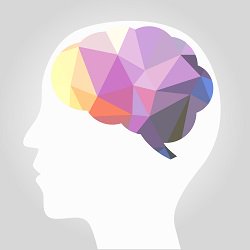Sentasensory's tweet photo. https://t.co/53WYNBERAl We stuitten op deze blog over de vraag welke zintuigen dominant zijn. Wij weten natuurlijk allang dat iedereen zijn eigen dominante zintuig heeft! Benieuwd naar de jouwe? Doe de test op https://t.co/Pk1WAKdGqw https://t.co/WmLidBBCF7