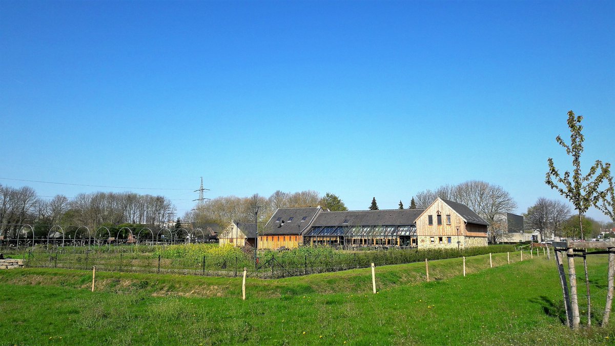 inja5248's tweet photo. Vanochtend vanaf de #Oude_Pastorie #Neerbeek #LimburgsLandschap
gestart voor een prachtige #wandeling
#genieten #genoten 🍀
@magnifiekZL https://t.co/oZiADUU0Df