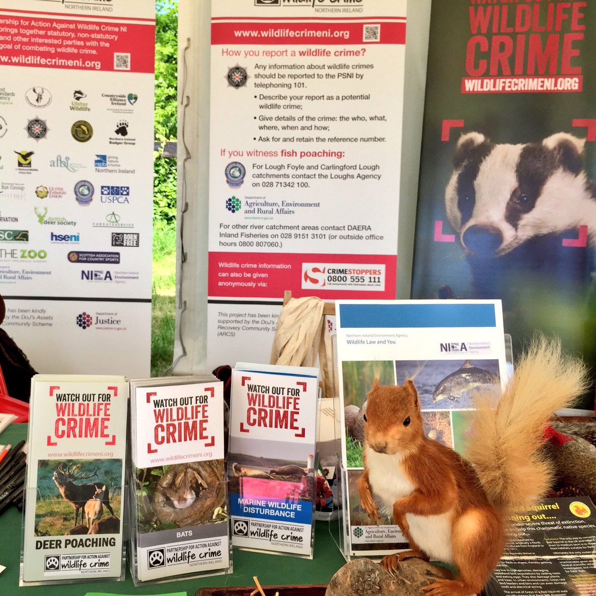 I may feature as one of weird people that are picked up by the <a href="/GoogleStreetV/">GoogleStreetView</a> 🚗 on its travels. As it passed me twice yesterday in Belfast while I had stuffed squirrel under each arm 🐿 @RedSquirrelsNI on route to talk to <a href="/UlsterWildlife/">Ulster Wildlife</a> watch grp