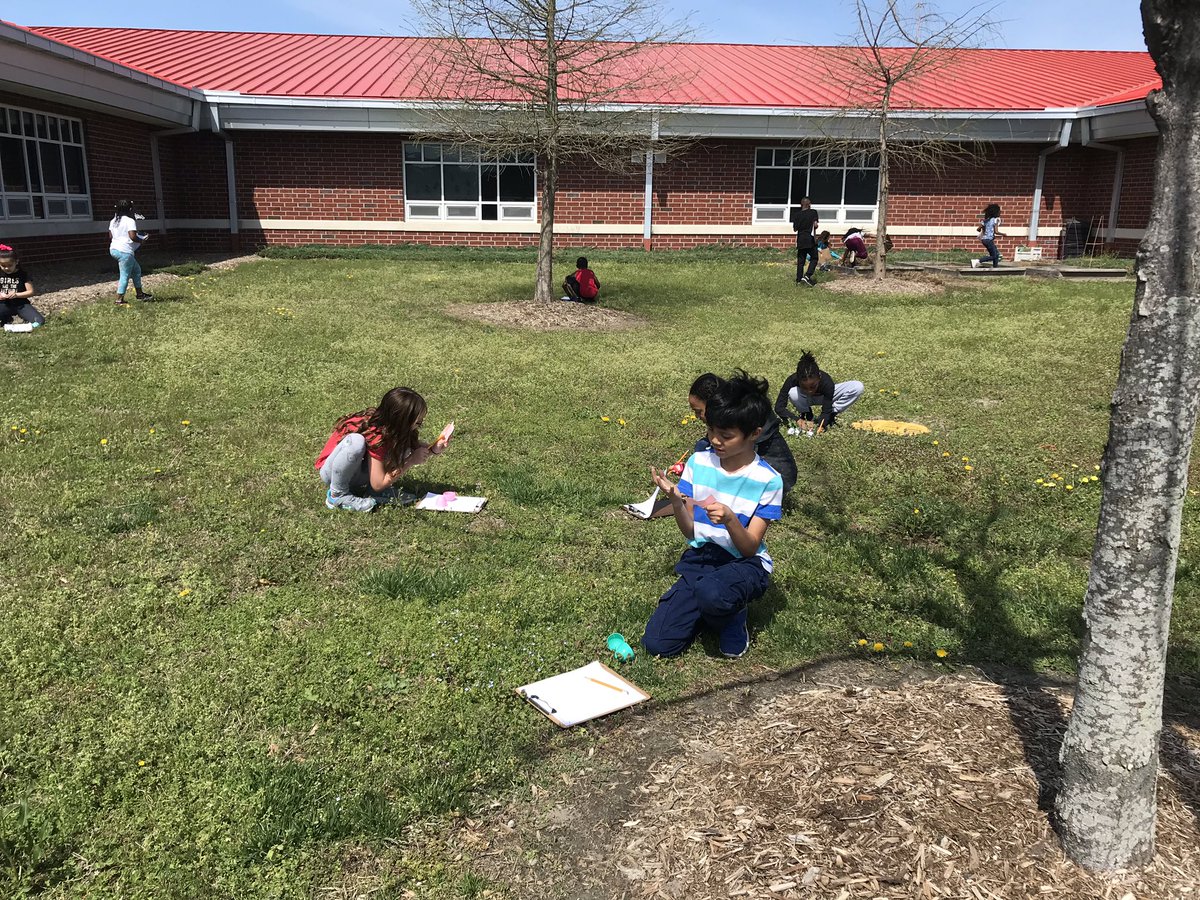 HoyleHoll's tweet photo. Hunting Math eggs for treats on this gorgeous day! @Newtown_E @HRichardson_VB #springbreak almost #eggcitingmath https://t.co/e8QtuUlwuM
