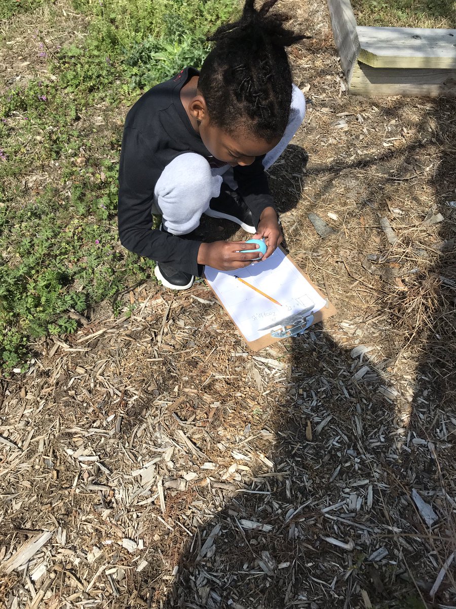 HoyleHoll's tweet photo. Hunting Math eggs for treats on this gorgeous day! @Newtown_E @HRichardson_VB #springbreak almost #eggcitingmath https://t.co/e8QtuUlwuM