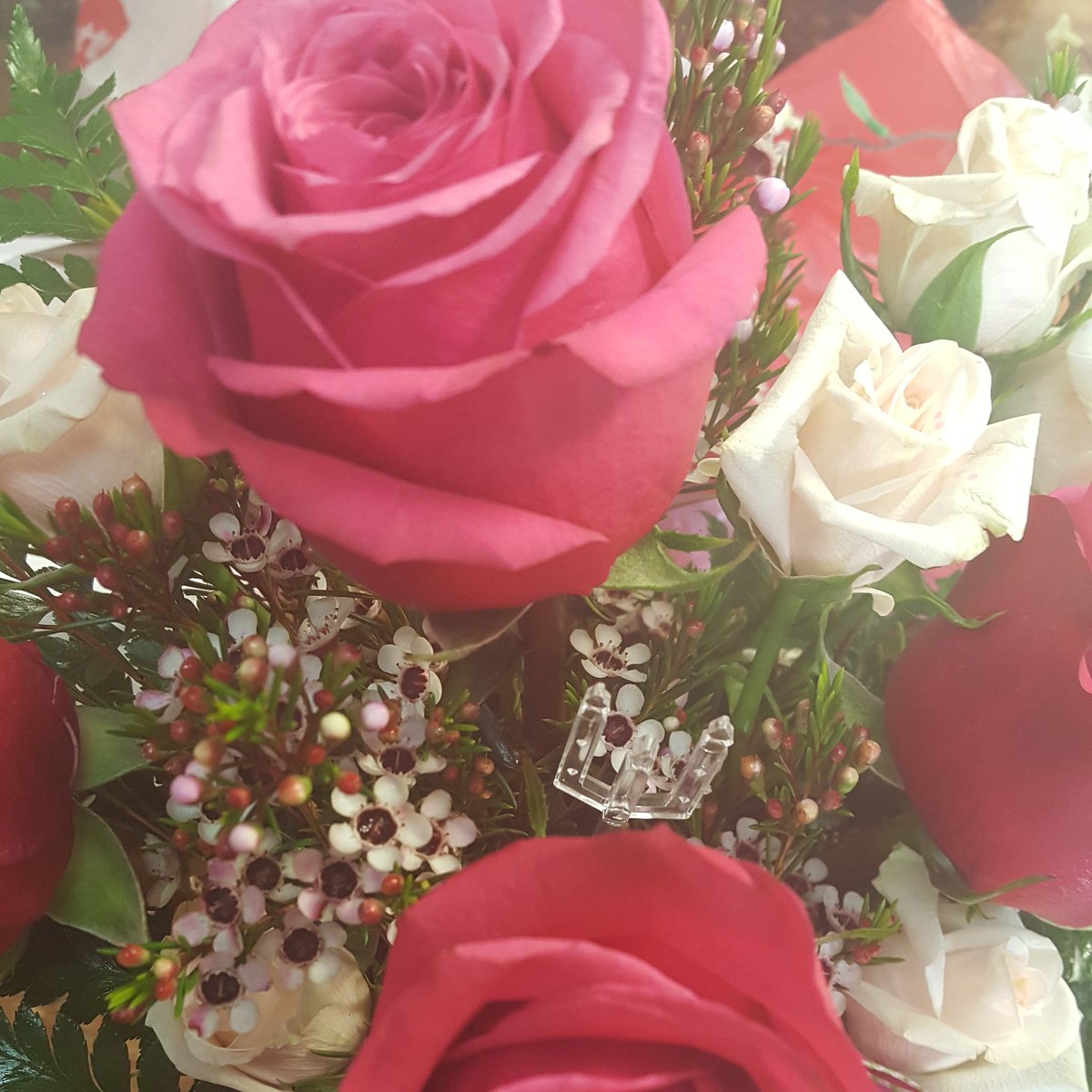 Cranefloralshop's tweet image. Beautiful pink roses!! #flowershop #maincrane #cranemo