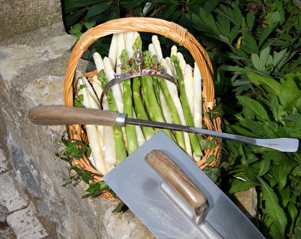 Touri_Toni's tweet photo. Das Warten hat ein Ende! Endlich gibt es wieder Frankens weißes Gold, den Spargel! Heute wurde die unterfränkische #spargelsaison feierlich auf dem Spargelhof Braun in Garstadt eröffnet. 
Das Schlemmen kann beginnen! 😊
#schweinfurt360 #lkrsw #spargelsaison #visitfranconia https://t.co/gHLa9HanR5