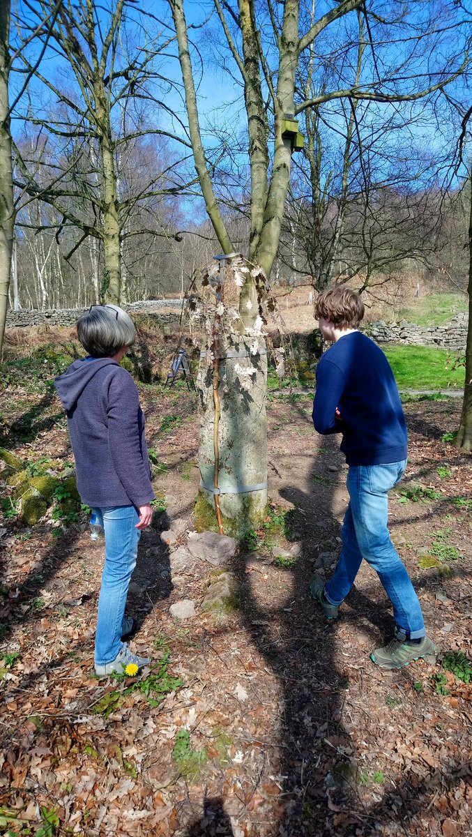 Did you come to my sculpture exhibition? I'd really appreciate your feedback & comments. Visitors were particularly interested in the cloak of leaves and commented how much they enjoyed the woodland setting. #themeaningoftrees #peakdistrict @peakdistrict @Campaign4Parks #spring