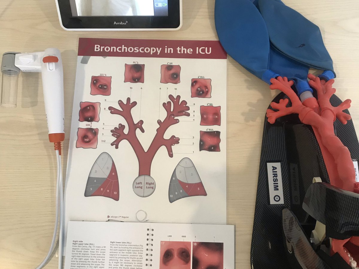 janinekelly526's tweet image. Thanks to all who attended today’s Bronchoscopy workshops @CC_Symposium with @Respitudoc 

If you missed us, don’t worry we are here tomorrow for the 11.00,12.00 and 14.00 sessions

See you there! @Ambu_UK #segmentalnavigation #scopedexterity #knowledgeiskey