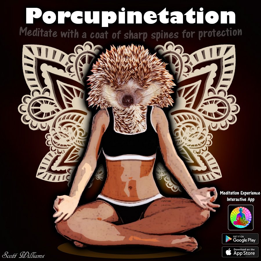 meditationprep's tweet photo. Porcupinetation 🐗. #Meditate with a coat of sharps spines for protection! #porcupine #meditation. 
#MeditationExperience app is a game, book, &amp; art project in one. Try it today: 
Free Download for Android &amp; iOS: https://t.co/KHoH61lfDc

#indiegame #visionaryart #lifestyle  #yoga https://t.co/i3upe07R3a