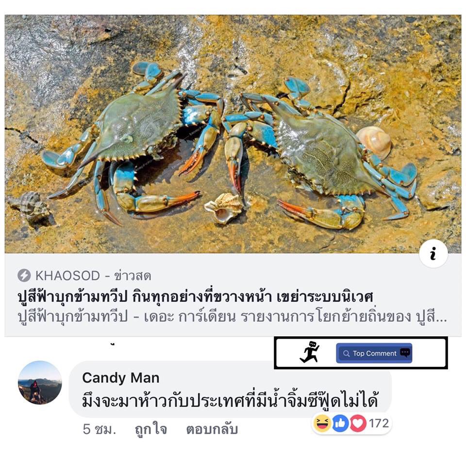  แมวพิมพ์ tweet media