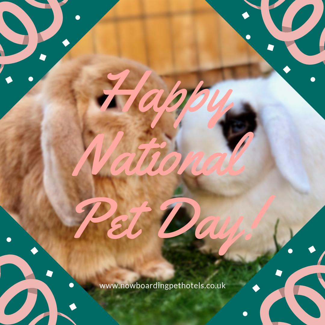 NowBoardingPets's tweet photo. Happy #NationalPetDay🐰🦎🐭🐦🐢🐹🐍🐠

#nowboardingpethotels #petboarding https://t.co/y8ZkqdjZ6m