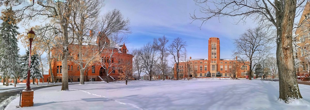 Nick Morton tweet media