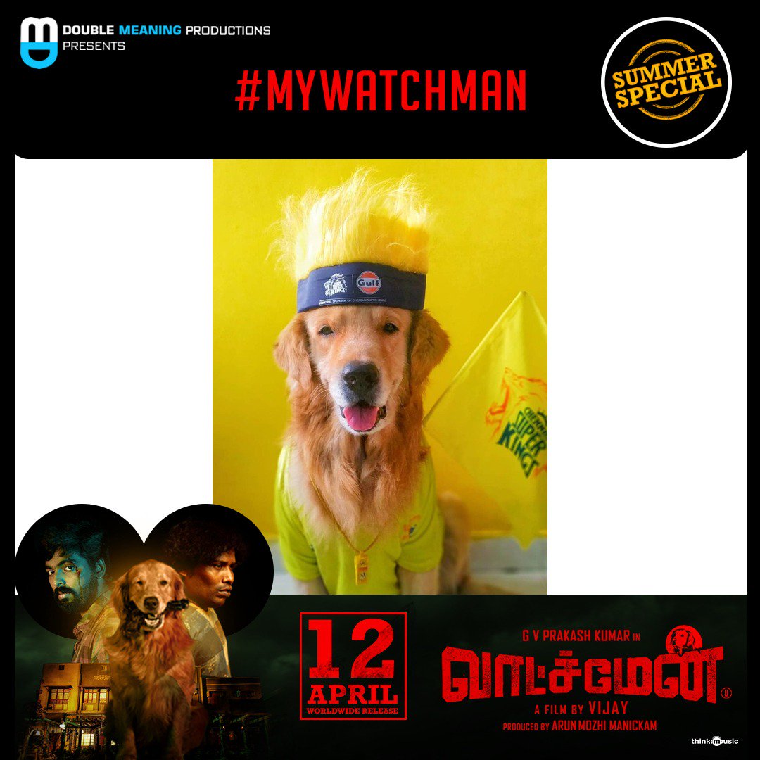 CinemaCalendar's tweet photo. There is no stoppage when it comes to showing #Yellove | #Watchman fame #Bruno is cheering @csk for another nail-biting thriller against RR.

#WatchmanFromTomorrow 🔦
#IPL

@gvprakash @iYogiBabu @DoubleMProd_ #ArunMozhiManickam @DoneChannel1 @thinkmusicindia https://t.co/R41DfDJLMr