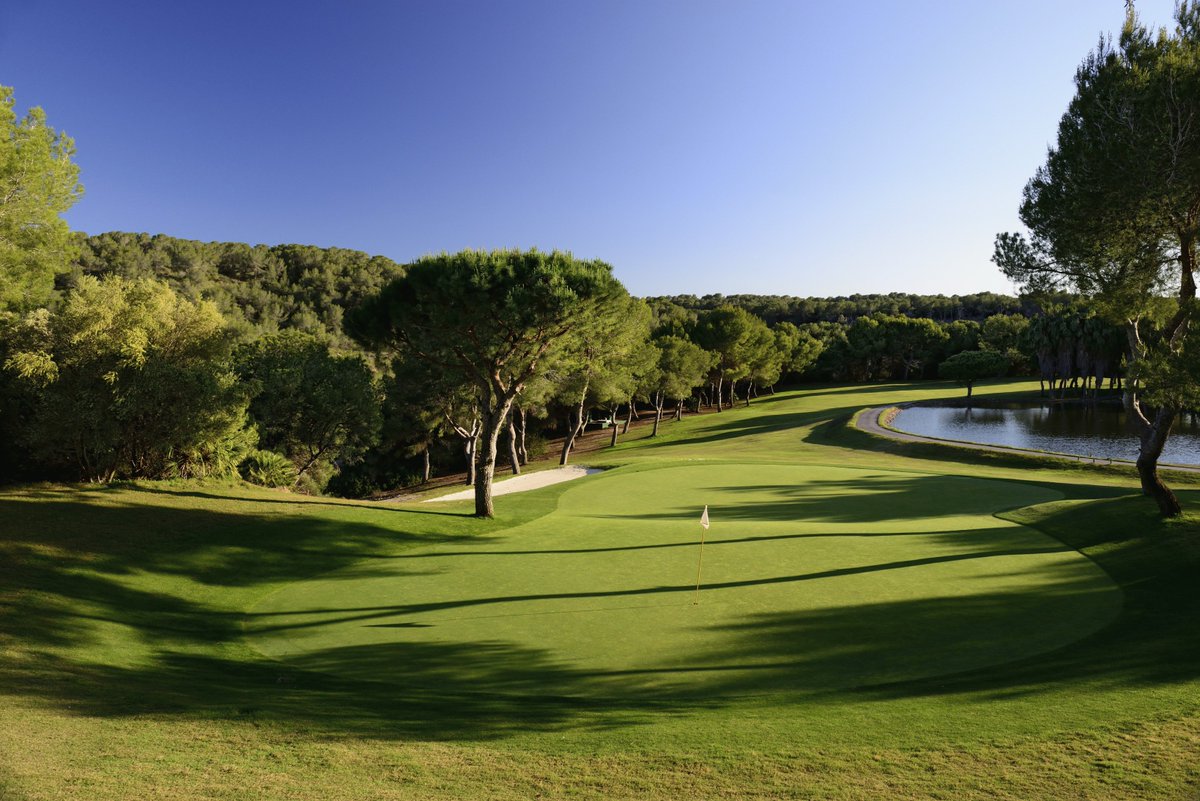 LaFincaResort's tweet photo. 🇪🇸 Inscríbete ya a los torneos del Grupo Soledad en Las Ramblas y La Finca en nuestra web: https://t.co/88QhRglq14 
 ⠀
 🇬🇧 Please click on this link to enter the Grupo Soledad #golf circuit at Las Ramblas and La Finca golf courses on our web: https://t.co/zsdE3vkyJO https://t.co/gdwpu79A1w