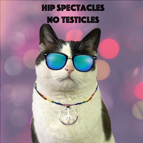 Bend Spay+Neuter tweet media