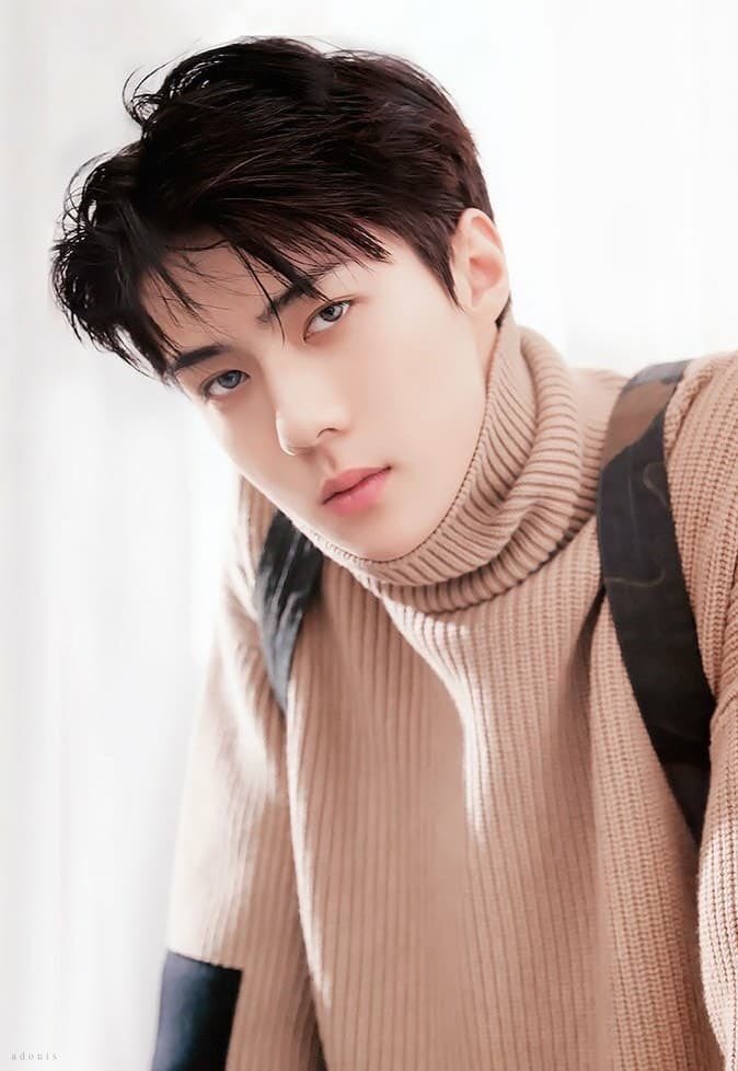 EXOfanbase_Int's tweet photo. 🐥Happy birthday to our precious maknae Oh Sehun 🐥

Yehet! Ohorat! 🎂🎁

#ShiningSehunDay 
#HappySehunDay 
#세훈아생일축하해 
@weareoneEXO https://t.co/RBh2Ke5Y6d