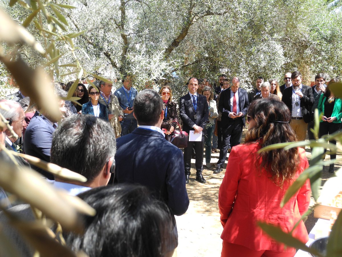 JavierMillanCz's tweet photo. En @HaciendaGuzman presentando la innovadora iniciativa turística @DeBodegasPorEsp, una propuesta empresarial que aúna #oleoturismo y #enoturismo
#STIW es una apuesta por el #turismo de calidad basada en la pionera alianza entre bodegas y almazara #sostenibilidad
@AlvaGuillen https://t.co/2PW8FvuCou