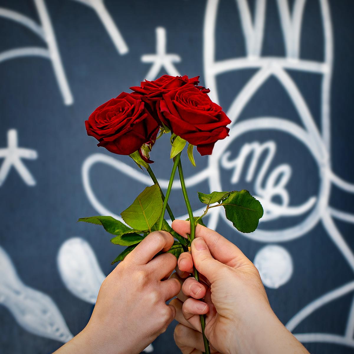 MadeBrave's tweet photo. We're delighted to announce that we've been nominated for 3 @TheDrumAwards Roses Awards (Illustration/Animation for Vango, Unusual Size or Build for First Bus, and Ambient Media/Stunt for First Bus). Cheers, team! 
#thisworldbelongstothebrave #madebrave #branding #awards #roses https://t.co/NBYcGU05lo