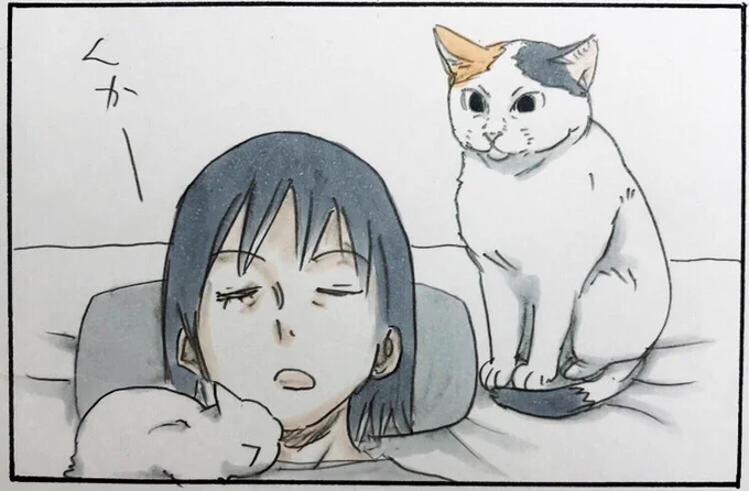 『真夜中の叫び』 #拾い猫のモチャ 