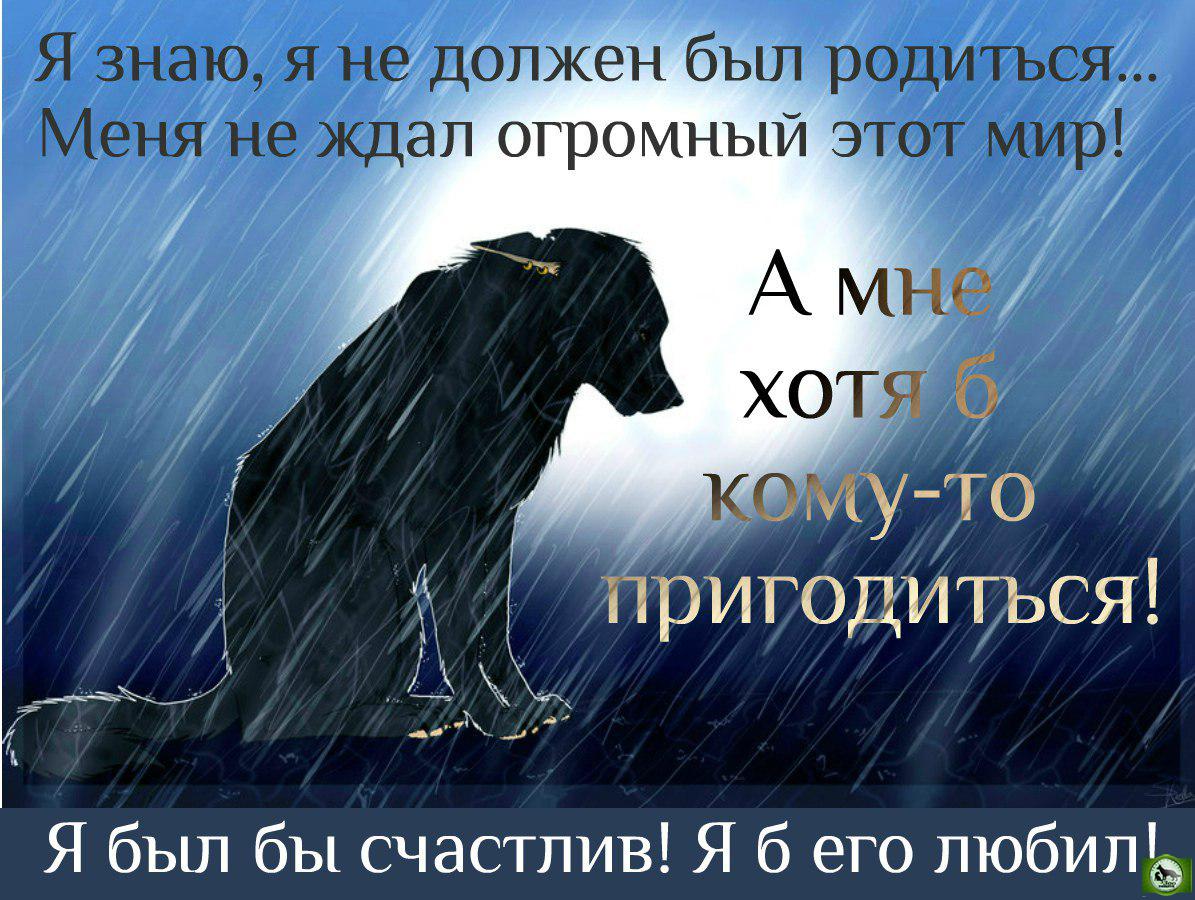 Волк плачет