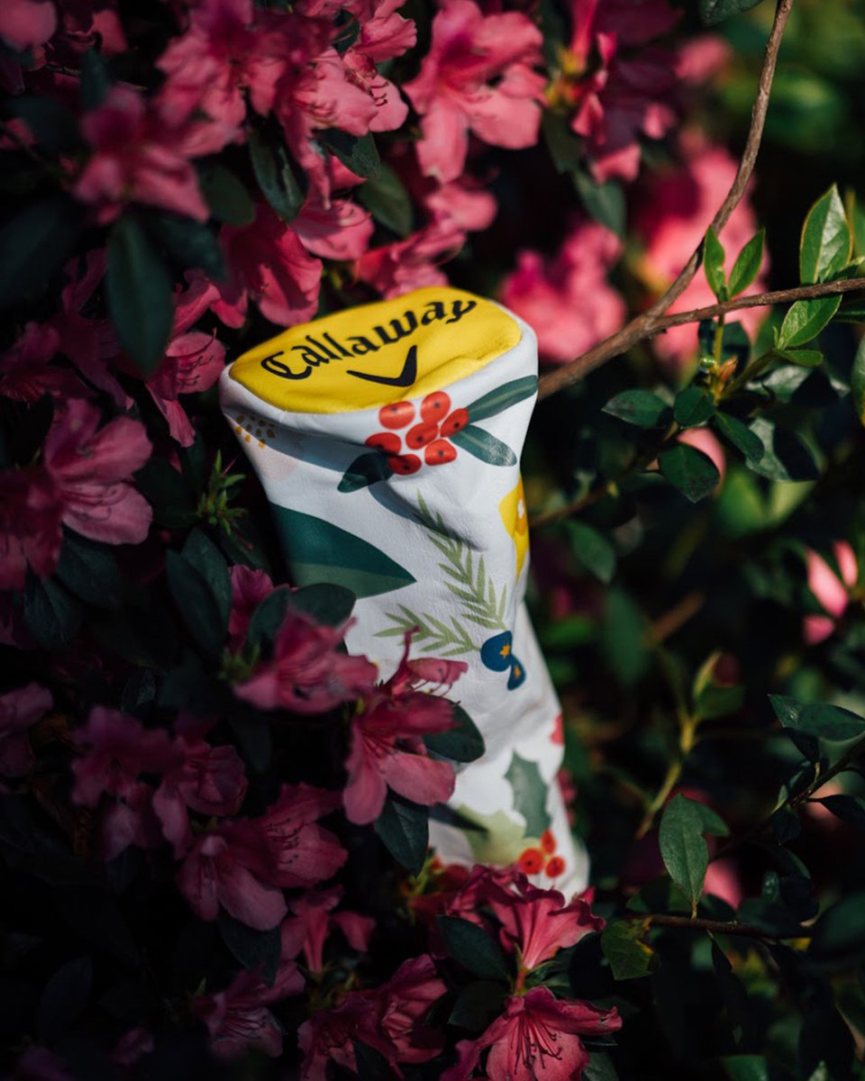 CallawayGolf's tweet photo. 🌸 RETWEET &amp; FOLLOW 🌺 for a chance to win a set of Callaway April Major headcovers, featuring a flower for every hole on the scorecard.

#TeamCallaway #TheMasters https://t.co/0obImiwXGf