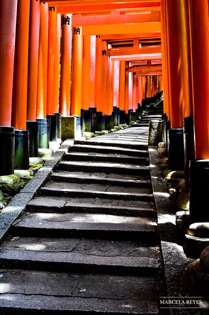 marcereyes55's tweet photo. We must take time to define our own path. Too quickly we can find the world defining it for us...✨✨ #throwbackthursday #fushimiinari #japan #ourpath #ourgoals #ourdirection #photography #hobby #life #paths #inspiration #enjoythejourney #haveawonderfulday https://t.co/8xChnKyari