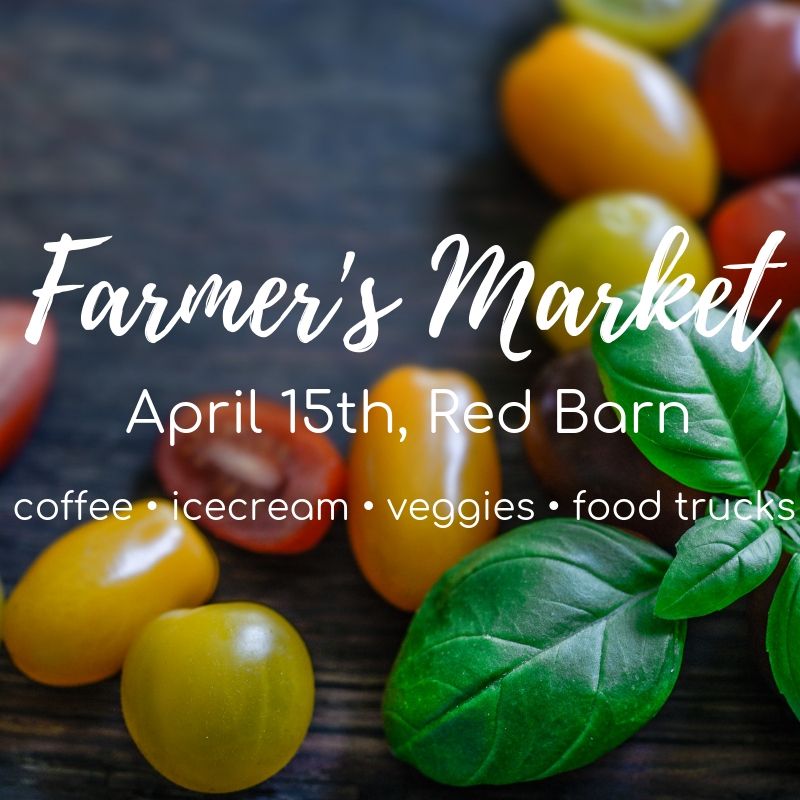 HealthyCards's tweet photo. Farmer's Market is back! #healthycards https://t.co/rOiHZvWcbO