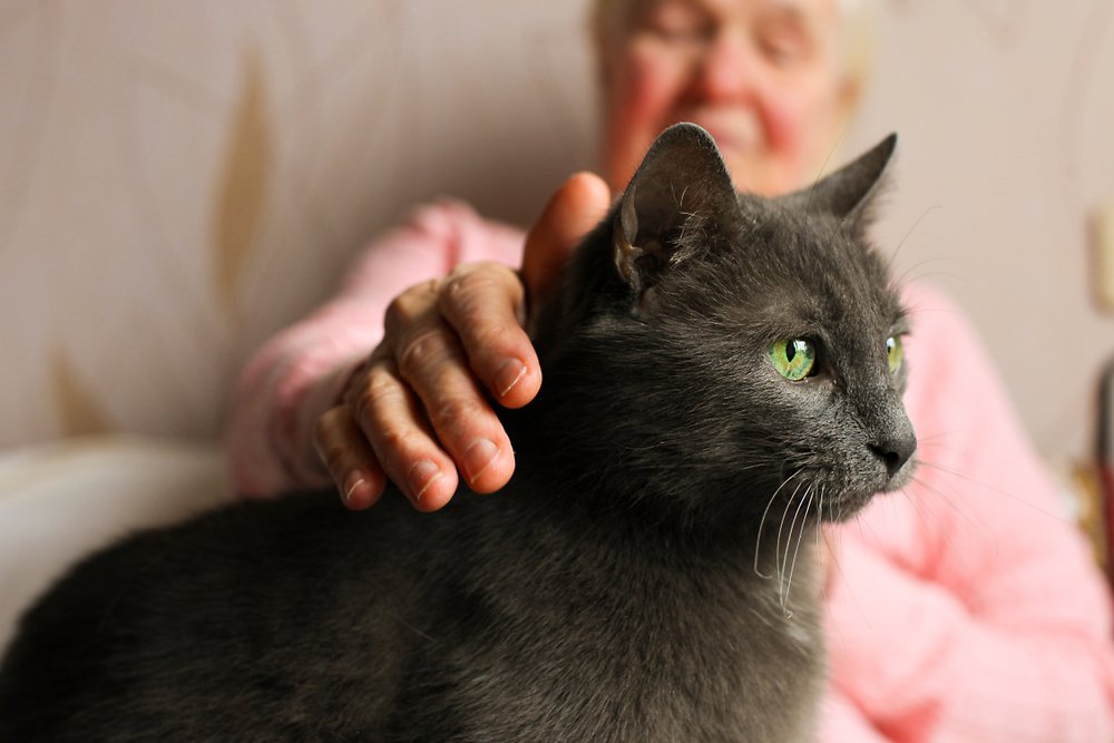 HolmesCareGroup's tweet photo. We are so excited to announce that #Heatherfield will be joined by @ZooLabUK on Thursday 18th April! Zoolab provide animal therapy in care homes across the country, using animals to create a sensory experience in the comfort of the residents’ home. 🐾 https://t.co/fUUuNGkgHi