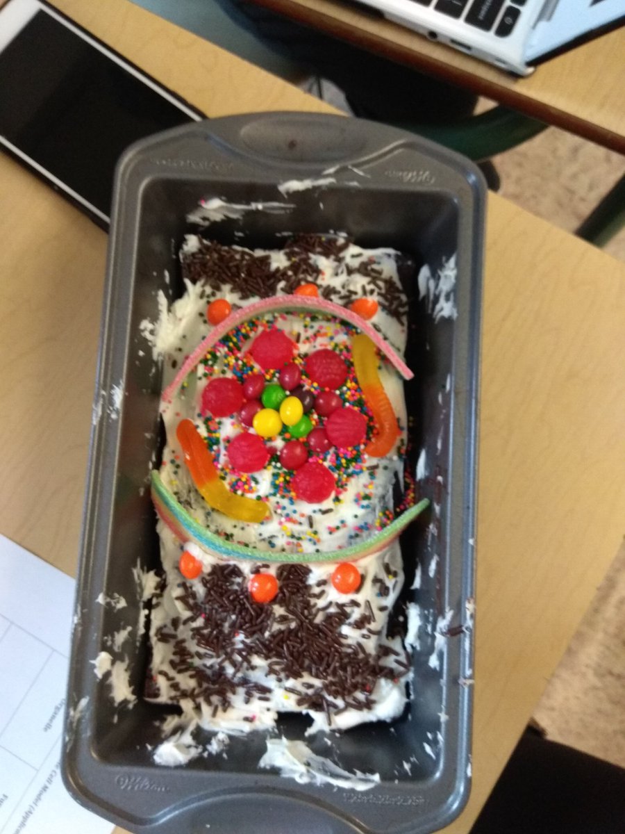 SarahGallah's tweet photo. Edible cells to learn about differentiation and organelles #grade10science @smchoirschool https://t.co/ztMtawcKAL