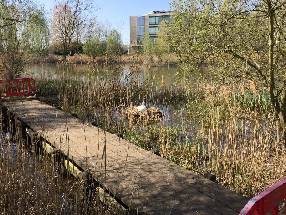 PLACEDesign&Planning tweet media