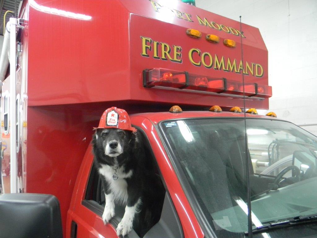 PortMoodyFR's tweet photo. Shout out to all our puppy friends on #NationalPetDay   Thank you fur popping by! https://t.co/6qn28HaQDM