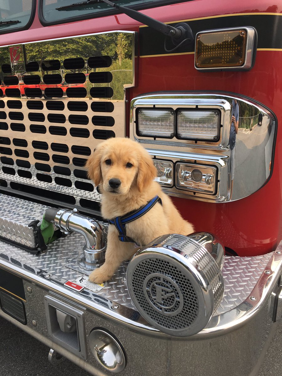 PortMoodyFR's tweet photo. Shout out to all our puppy friends on #NationalPetDay   Thank you fur popping by! https://t.co/6qn28HaQDM