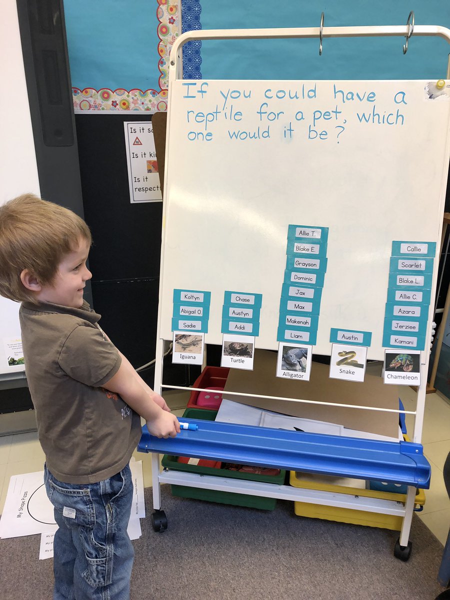 HeatherVanacker's tweet photo. An interesting survey in Math today as part of our reptile inquiry. It was great to hear some of the reasons why our friends would want a certain reptile. Having someone to swim with in their pool was a popular answer. @shcslangton https://t.co/EoE70KRkhY