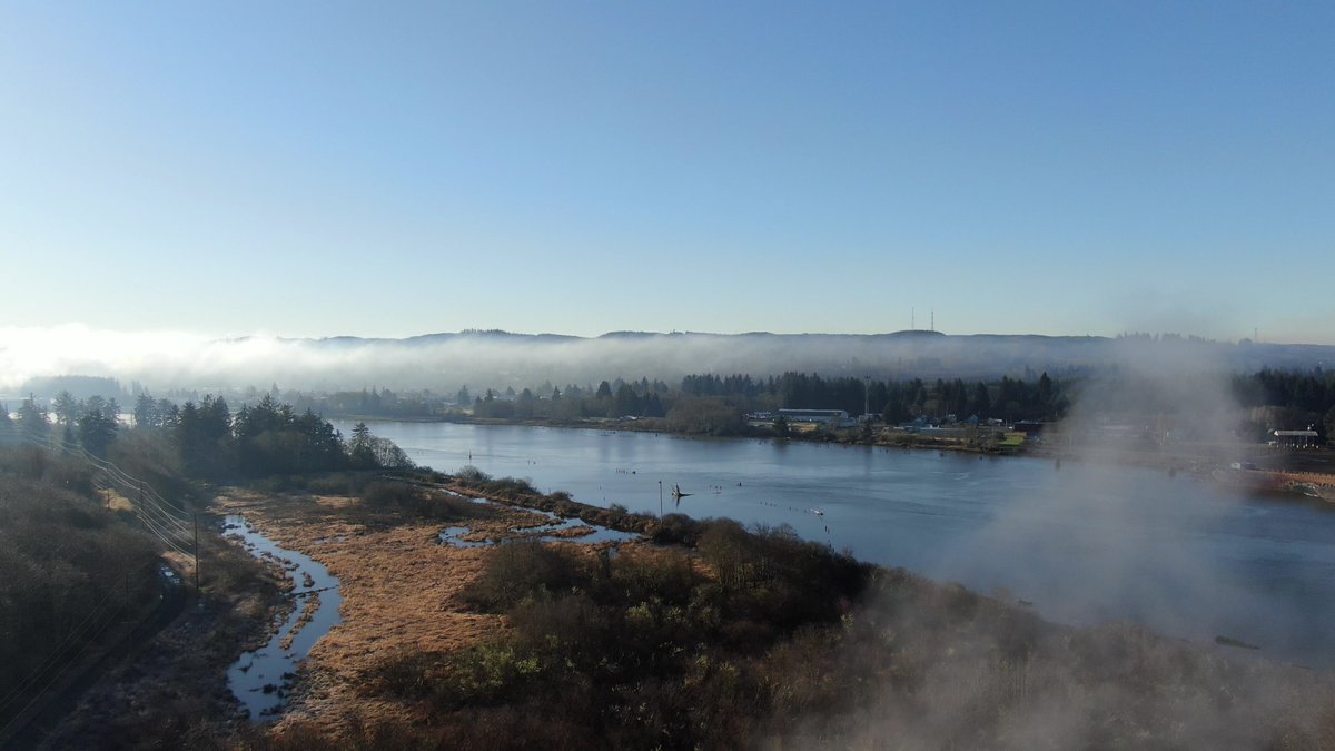 MyTPU's tweet photo. #TBT to this awesome shot overlooking the #chehalisriver at #SierraPacificIndustries sawmill, where they happen to also generate clean, renewable, reliable energy using sawdust, bark and planer shavings.

#evergreenoptions #goeo #TeamTPU #MyTPU #sawmill #communitypowered https://t.co/VtUEbHz8pk