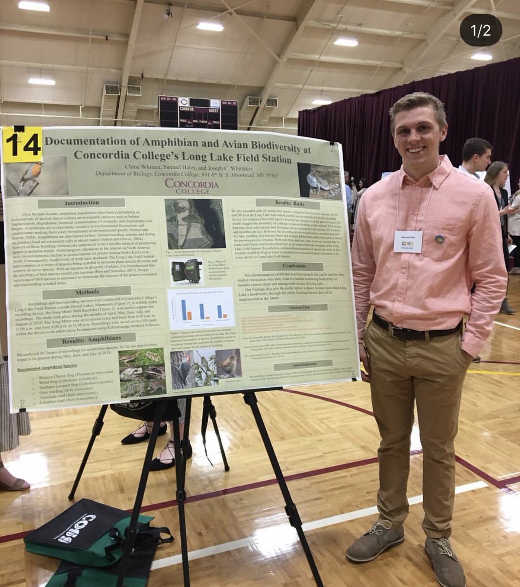 corddiversity's tweet photo. Yesterday, over 300 students mentored by faculty shared their undergraduate research at Concordia through poster and concurrent sessions. #COSS2019 #cordmn https://t.co/lbRjmjdLPM