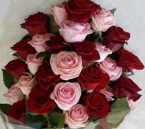 AlyafaiCom's tweet photo. https://t.co/C7W5MrYr6A