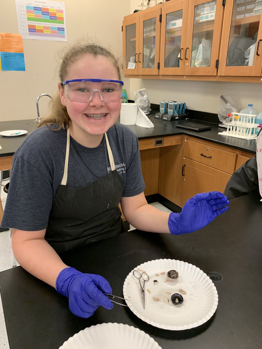 farrarpizitz's tweet photo. Dissecting sheep eyes to identify their adaptations! @pizitzmiddle #pizitzlearns https://t.co/VA7GCY4pFO