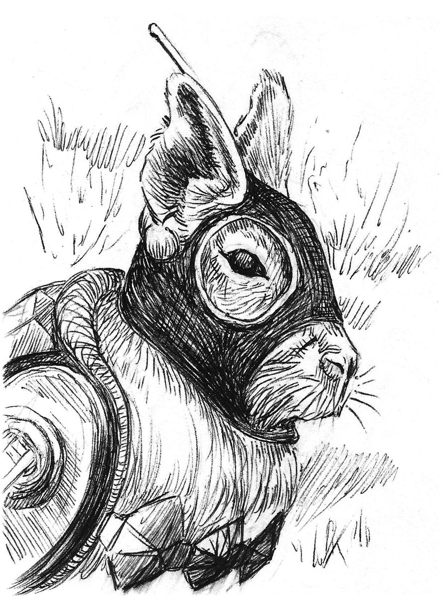 toledomargalef's tweet photo. Bocetos de maras
Birome s/papel.⠀

#maras #mara #dolichotispatagonum

#patagoniainsurgente

#derrameseditoras #boceto #sketch #graphite #pencil #dibujo #draw #paper #papel #art #arte #artist #patagonia #contemporary #usi #equipo #toledomargalef #meseta #armas #gun https://t.co/N2DyOse7jn