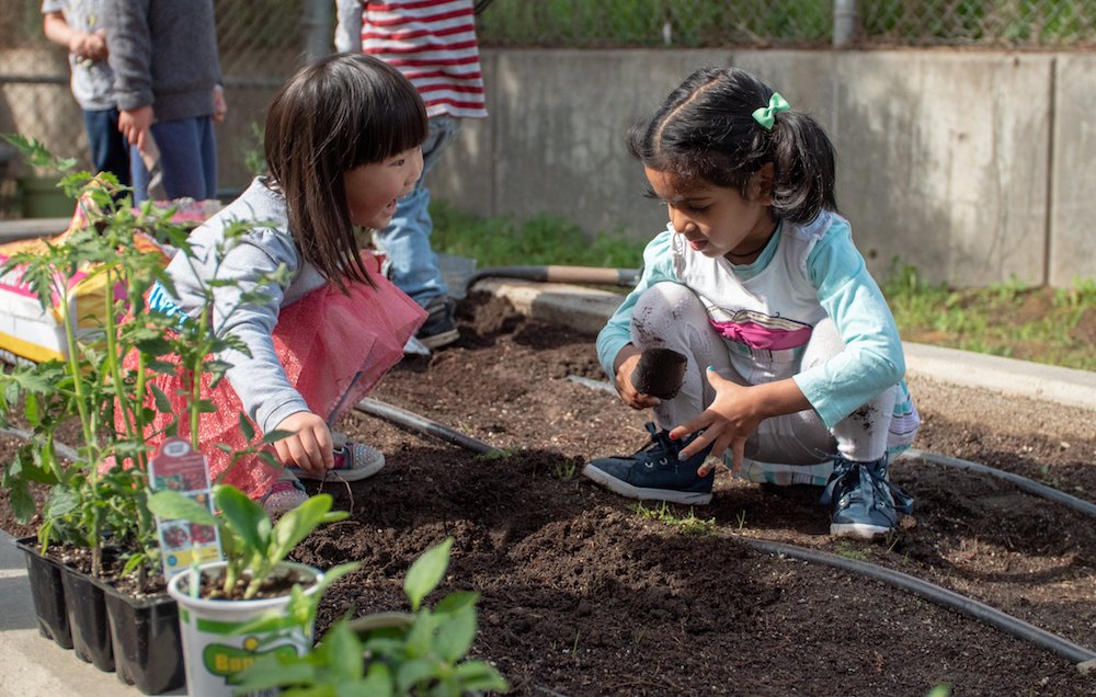 #ThrowbackThursday to the Huggins Center children celebrating Week of the Young Child! The center made healthy snacks for Tasty Tuesday and decorated the garden for Artsy Garden Wednesday. 🌿

More 📸 kremenschoolnews.com/2019/04/09/chi…
#WOYC19 #EarlyChildhoodEducation