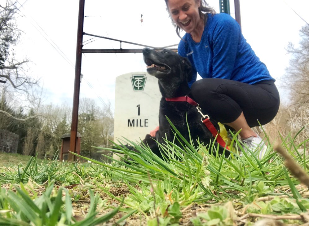 suzallaire's tweet photo. I think it’s safe to say that I really enjoy running w my 4 legged friend Kiara #myphillyrun #dogrun https://t.co/iopBE3U6Af