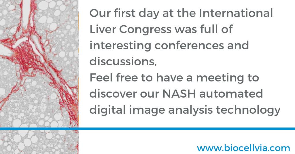 Our fully-automated digital image analysis technology enables to evaluate the efficacy of your lead molecules with more reliability, more accuracy and less variability than traditional scoring method.
#EASL #ILC2019 #Liver